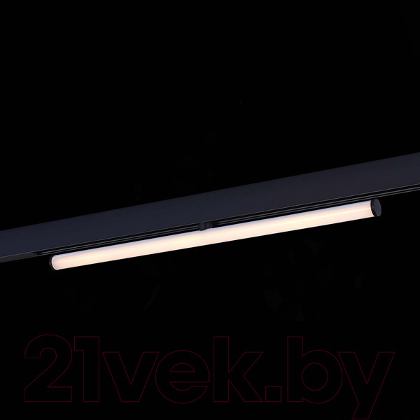 Изображение товара Трековый светильник ST Luce ST803.446.10 (черный)