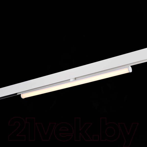 Изображение товара Трековый светильник ST Luce ST803.546.10 (белый)