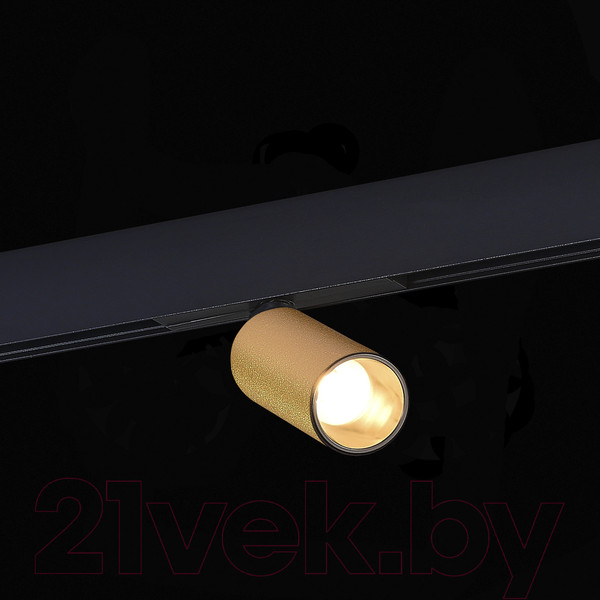 Изображение товара Трековый светильник ST Luce ST807.236.12 (золотой)
