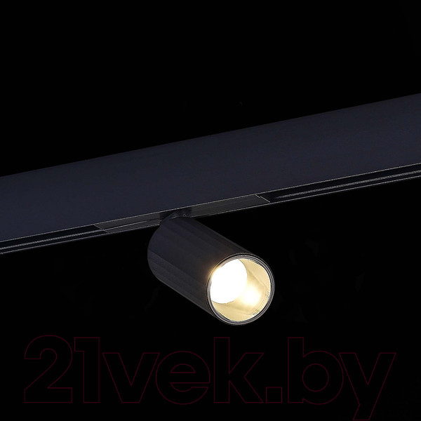 Изображение товара Трековый светильник ST Luce ST807.446.12 (черный)
