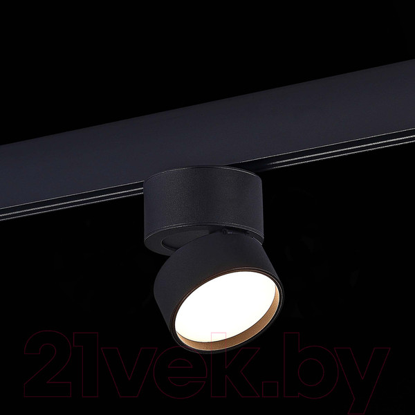 Изображение товара Трековый светильник ST Luce ST809.446.09 (черный)