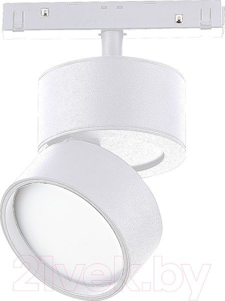Изображение товара Трековый светильник ST Luce ST809.546.09 (белый)