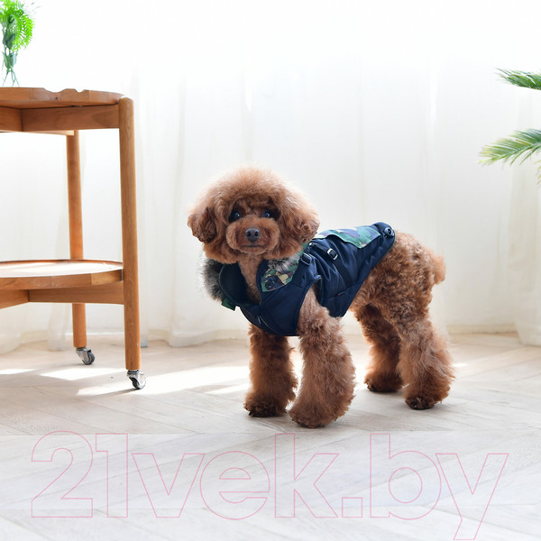 Изображение товара Жилетка для животных Puppia Orson / PARD-VT1569-BK-S (S, черный)