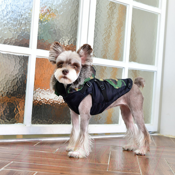 Изображение товара Жилетка для животных Puppia Orson / PARD-VT1569-BK-S (S, черный)