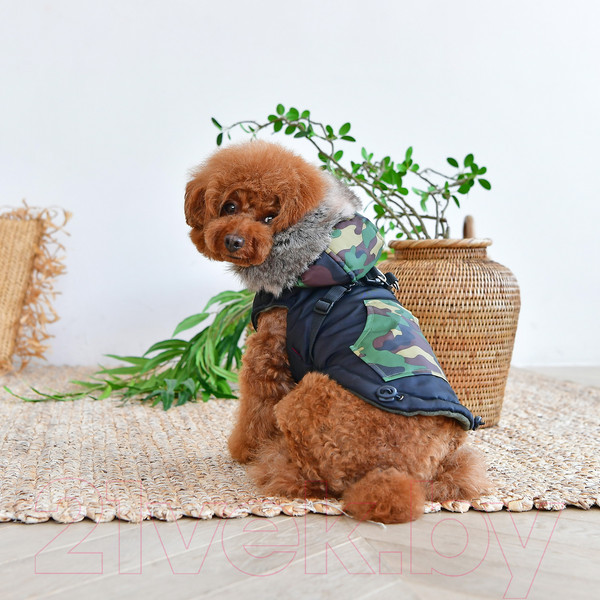 Изображение товара Жилетка для животных Puppia Orson / PARD-VT1569-BK-S (S, черный)