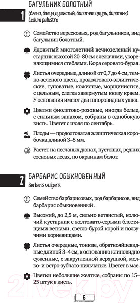 Изображение товара Книга Эксмо Листья деревьев. Как узнать растение (Куценко М.)