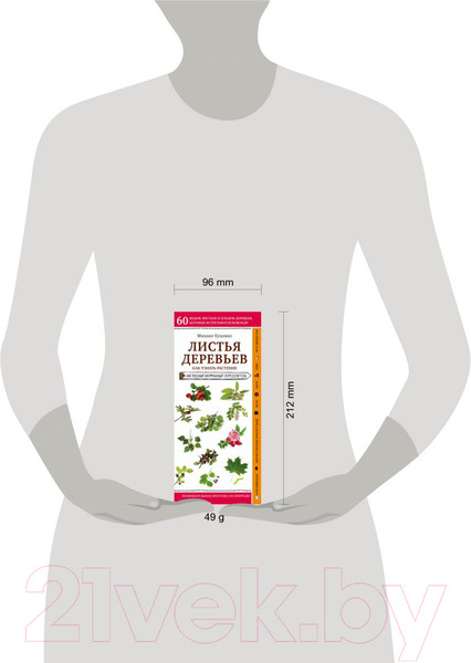 Изображение товара Книга Эксмо Листья деревьев. Как узнать растение (Куценко М.)