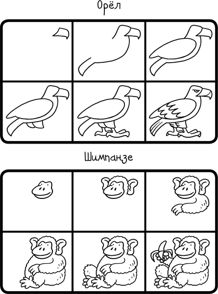 Изображение товара Развивающая книга АСТ Как научиться рисовать 101 животное, мягкая обложка