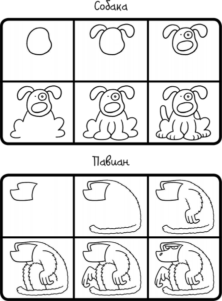 Изображение товара Развивающая книга АСТ Как научиться рисовать 101 животное, мягкая обложка