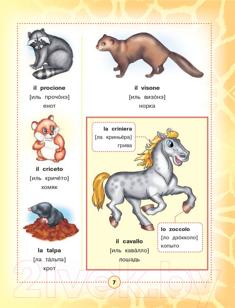 Изображение товара Словарь АСТ Итальянско-русский визуальный для детей