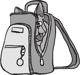 Изображение товара Книга АСТ Школьные правила выживания (Владимова Марина, Кривушенкова Фарида)