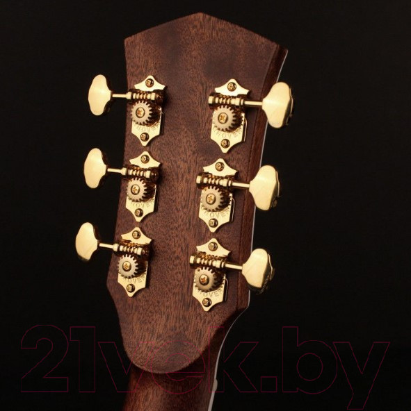 Изображение товара Электроакустическая гитара Cort Gold-A8-WCASE-NAT (с чехлом)