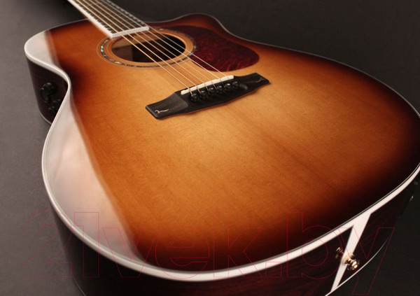 Изображение товара Электроакустическая гитара Cort Gold-A8-WCASE-NAT (с чехлом)