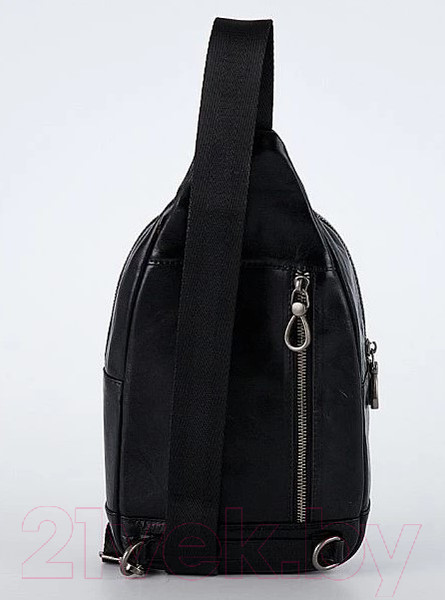 Изображение товара Рюкзак Francesco Molinary 846-299-BLK (черный)