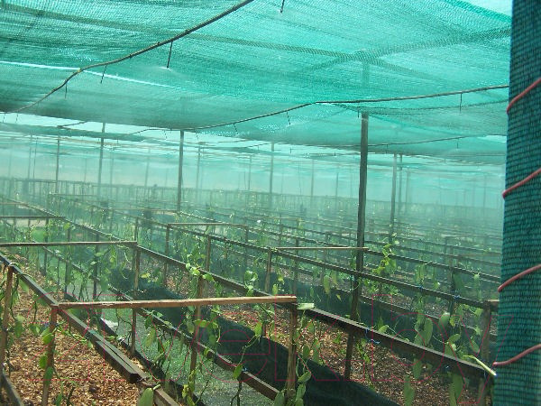 Изображение товара Защитная сетка для растений ХозАгро Затеняющая 80% (2x5м, 15шт, с клипсой)