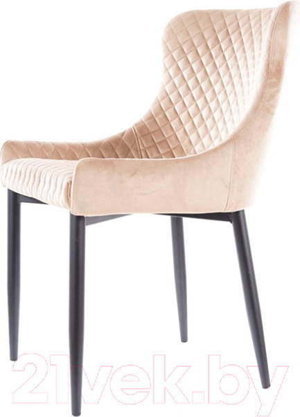Изображение товара Стул Signal Colin B Velvet (Bluvel 28 бежевый/черный)