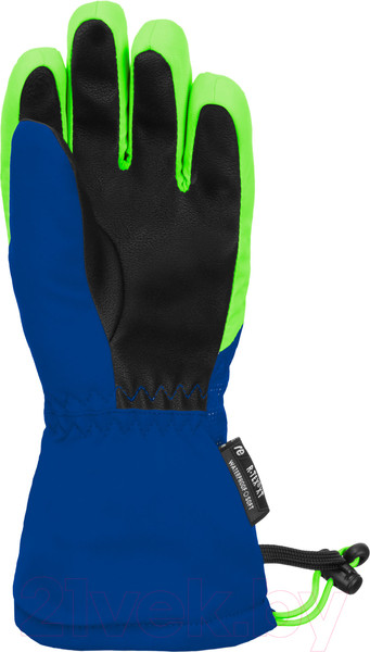 Изображение товара Перчатки лыжные Reusch Maxi R-Tex Xt / 6285215-4507 (р-р 4, Surf The Web/Green Gecko)