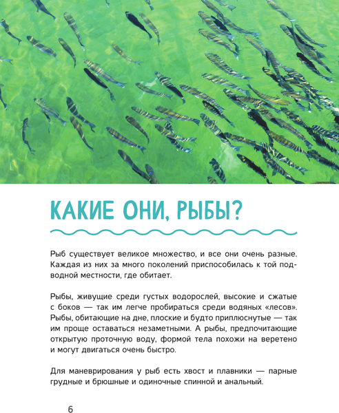Изображение товара Энциклопедия АСТ Рыбалка, твердая обложка (Мельников Илья, Сидоров Сергей, Хомич Елена)