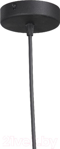 Изображение товара Люстра Vitaluce V2946-1/1S