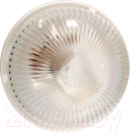 Изображение товара Светильник ЖКХ ВЕРТЕКС Вега / НБО 07-60-001