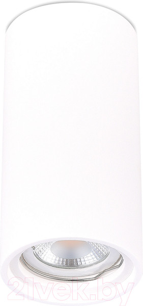 Изображение товара Потолочный светильник ST Luce ST155.502.01 (белый)