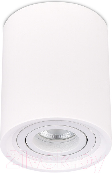 Изображение товара Потолочный светильник ST Luce ST156.502.01 (белый)