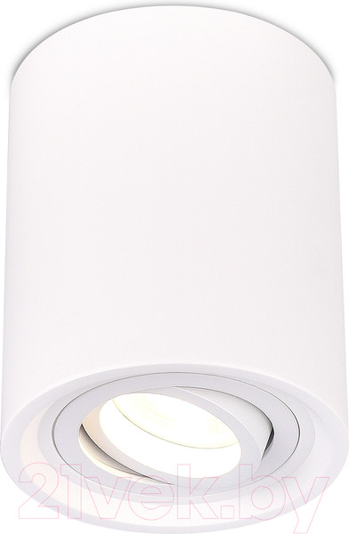 Изображение товара Потолочный светильник ST Luce ST156.502.01 (белый)