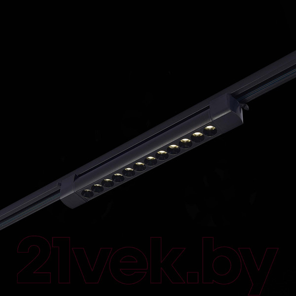 Изображение товара Трековый светильник ST Luce ST367.446.20 (черный)