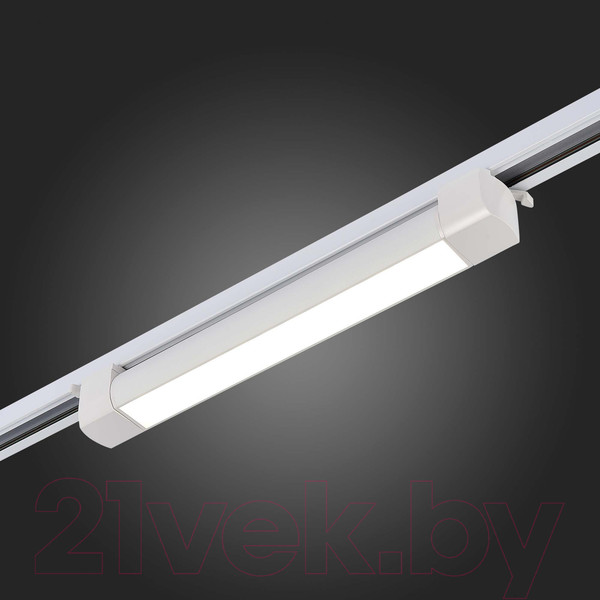 Изображение товара Трековый светильник ST Luce ST368.536.20 (белый)