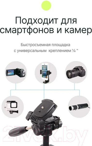 Изображение товара Штатив RayLab RLMTPRO32 (с головой)