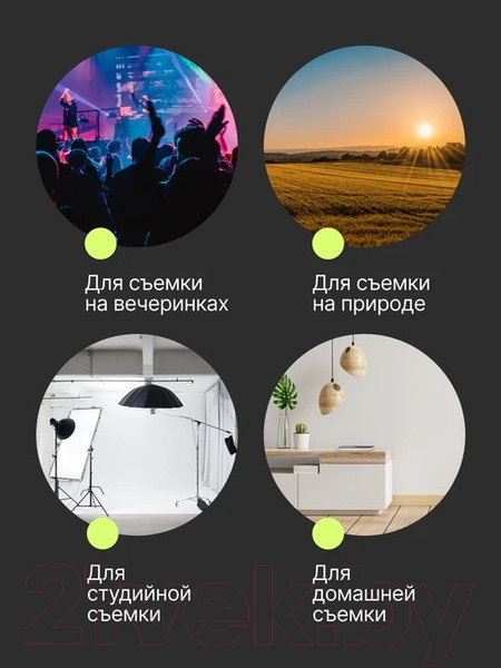 Изображение товара Штатив RayLab Travel 55 / RLCTAL55 (с головой)