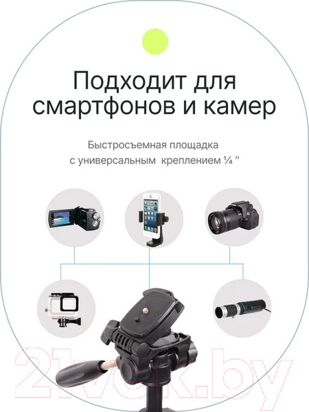 Изображение товара Штатив RayLab Travel 55 / RLCTAL55 (с головой)