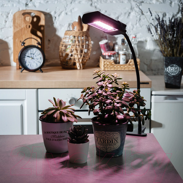 Изображение товара Светильник для растений Uniel ULT-P31-12W/SPLE/40 / UL-00009250