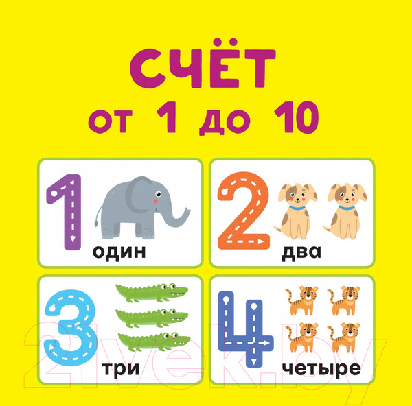Изображение товара Комплект учебных плакатов АСТ Математика для детей. 11 больших цветных плакатов (Круглова А.)
