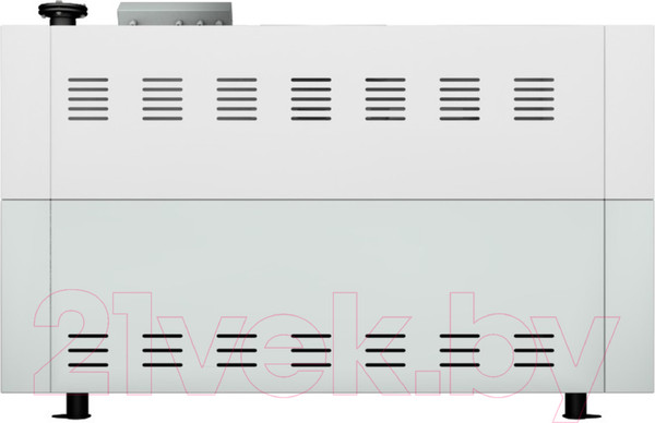 Изображение товара Газовый котел Лемакс Clever L-100