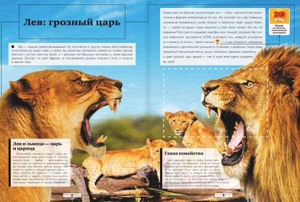 Изображение товара Энциклопедия АСТ Животные (Кошевар Д., Папуниди Е.)