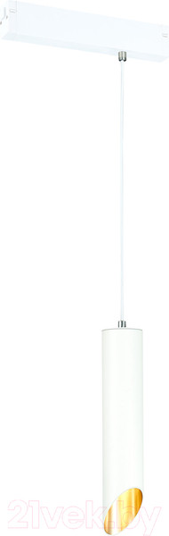 Изображение товара Трековый светильник ST Luce ST508.503.01