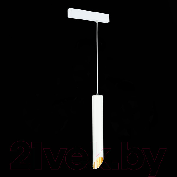 Изображение товара Трековый светильник ST Luce ST508.513.01