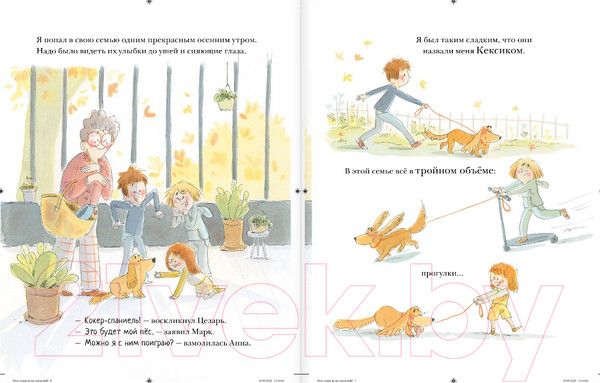 Изображение товара Книга АСТ Моя семья (НЕ) на связи (Жаво А., Массон А.)