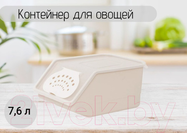 Изображение товара Контейнер Полимербыт Для овощей / C820