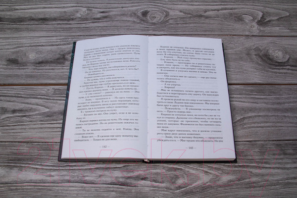 Изображение товара Книга АСТ Проклятие богини. За гранью вечности (Милан Г.)