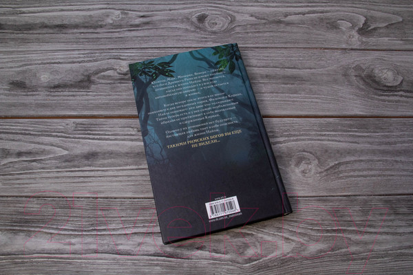 Изображение товара Книга АСТ Проклятие богини. За гранью вечности (Милан Г.)