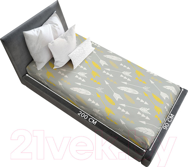 Изображение товара Простыня Ambesonne С принтом 90x200 / bsr 10300