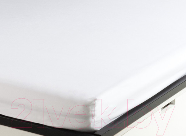 Изображение товара Простыня Ambesonne Натяжная 160x200 / bssp 0001