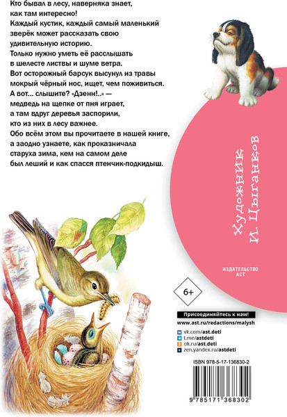 Изображение товара Книга АСТ Лесные рассказы Библиотека начальной школы (Пришвин Михаил, Пришвин Михаил и др)