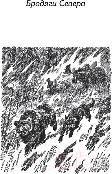 Изображение товара Книга АСТ Бродяги Севера. Казан (Кервуд Д.)