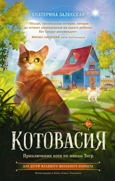 Художественная книга АСТ Котовасия. Приключения кота по имени Тигр (Залесская Е.) — фото 5