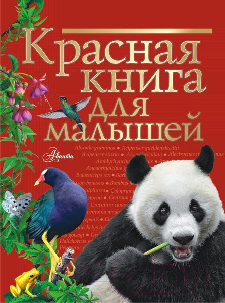 Изображение товара Энциклопедия АСТ Красная книга для малышей (Бабенко В.)
