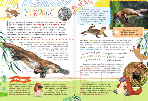 Изображение товара Энциклопедия АСТ Красная книга для малышей (Бабенко В.)