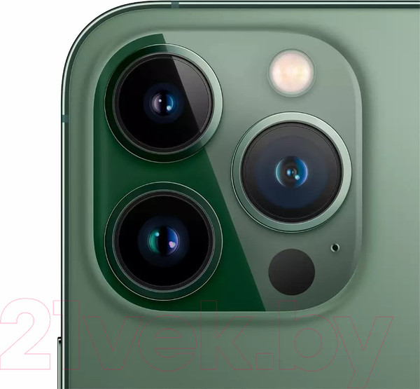 Изображение товара Смартфон восстановленный Apple iPhone 13 Pro 256GB Flip Грейд B (альпийский зеленый)